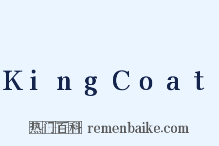 KingCoat是什么意思的图片